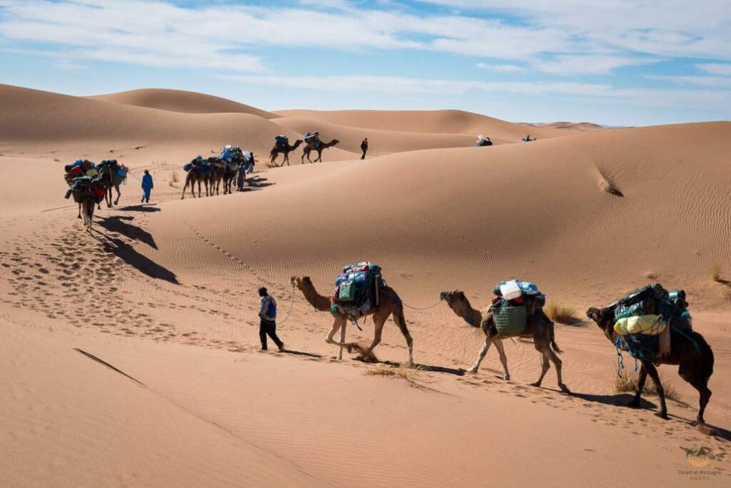 merzouga