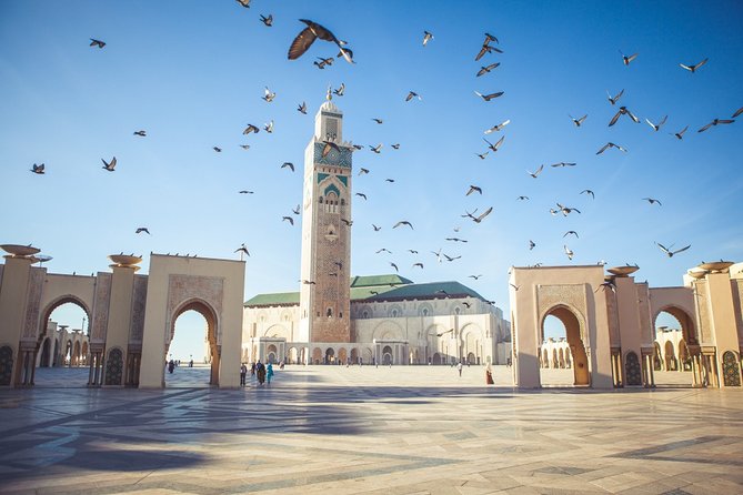 musque hassan 2